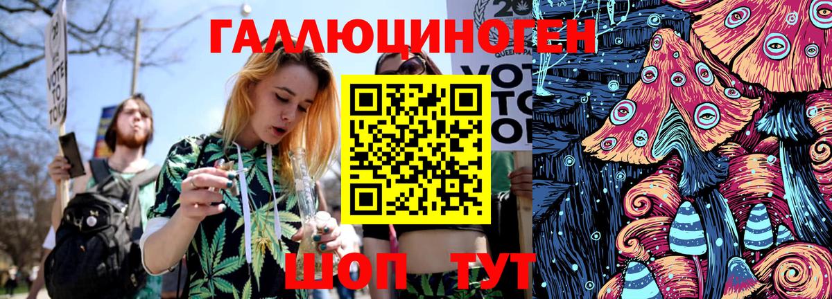 Галлюциногенные грибы Psilocybe Чернушка