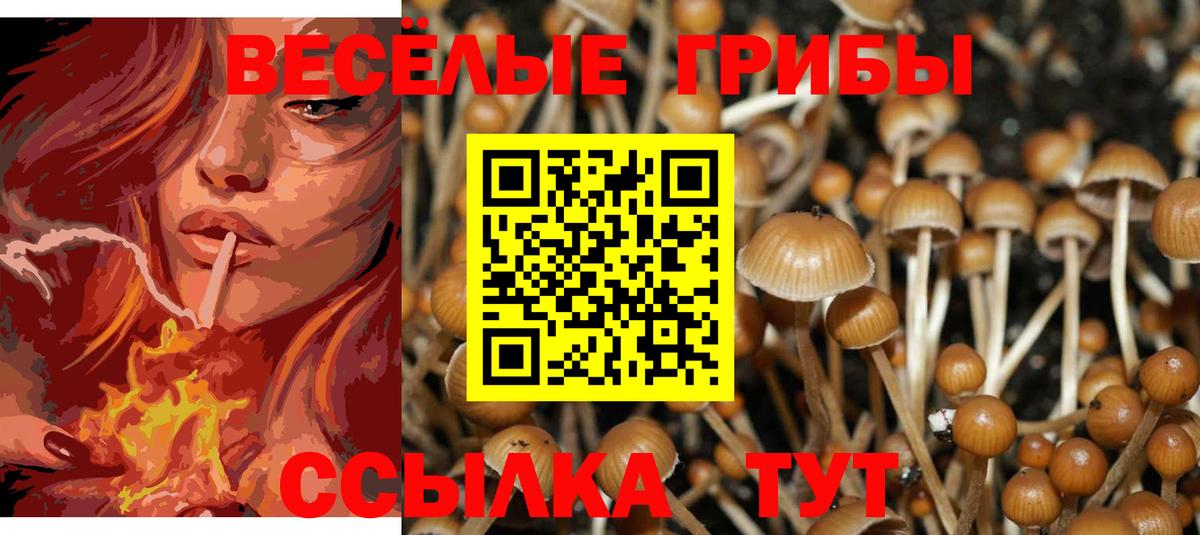 Чернушка  Псилоцибиновые грибы мухоморы  Вход с VPN  Галлюциногенные грибы Psilocybine cubensis 